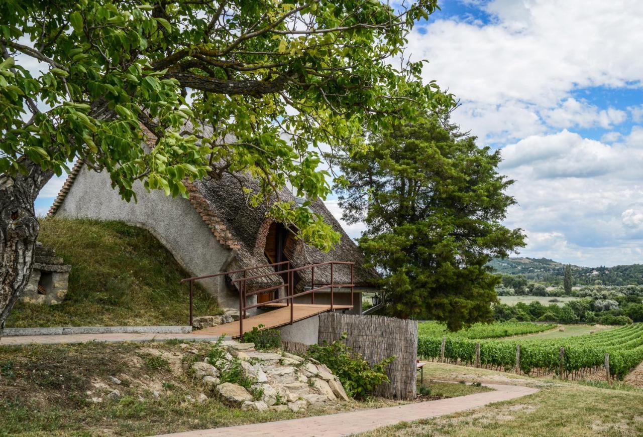 Vila Máli Pince Aszofo Exteriér fotografie