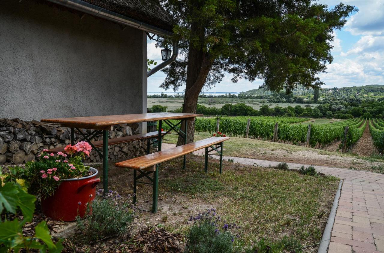 Vila Máli Pince Aszofo Exteriér fotografie