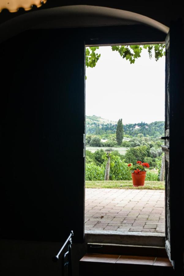 Vila Máli Pince Aszofo Exteriér fotografie