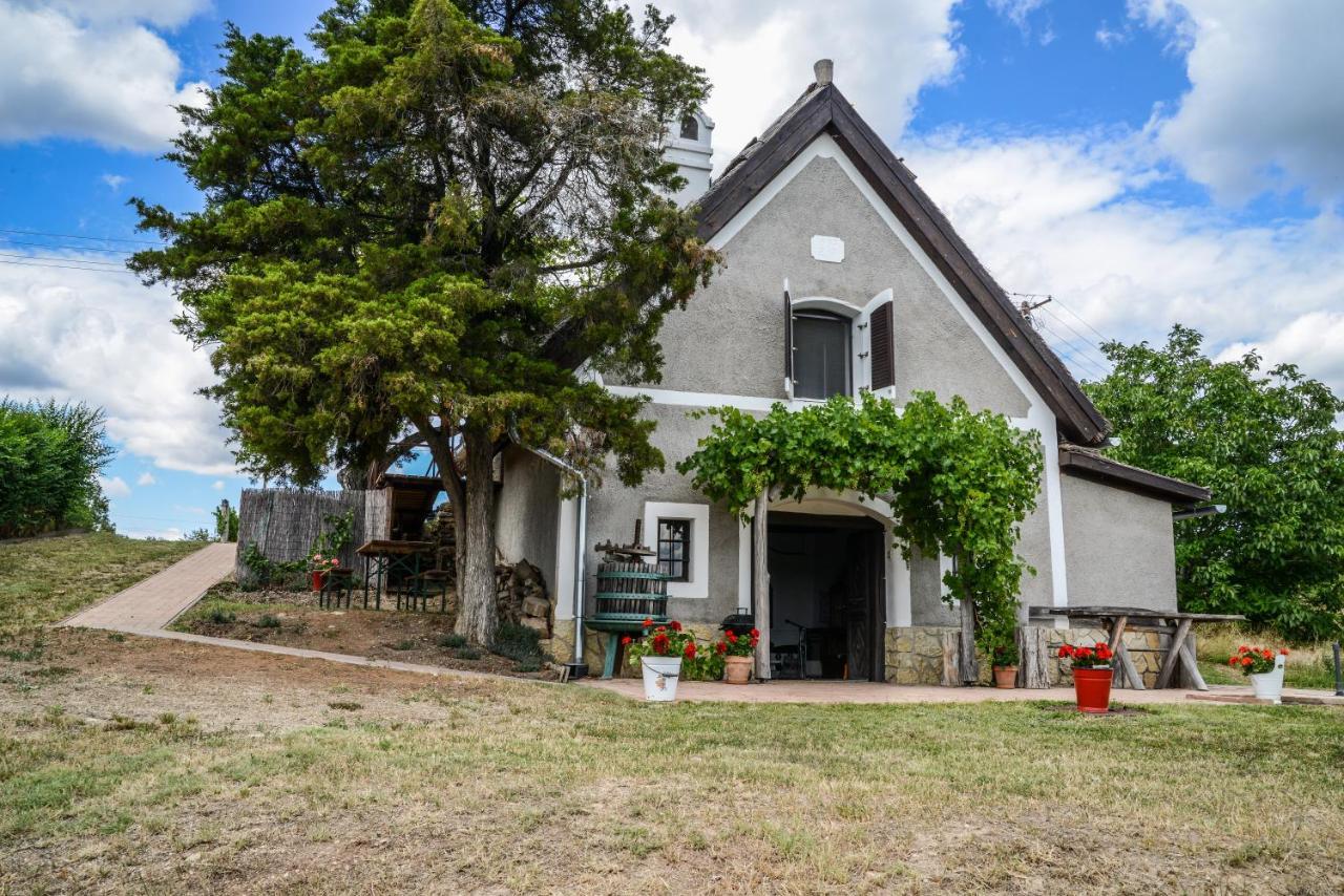 Vila Máli Pince Aszofo Exteriér fotografie