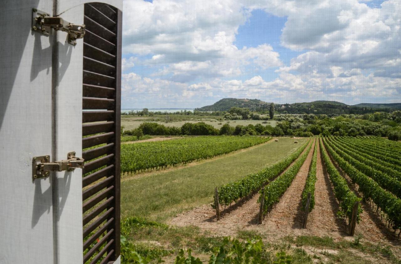 Vila Máli Pince Aszofo Exteriér fotografie